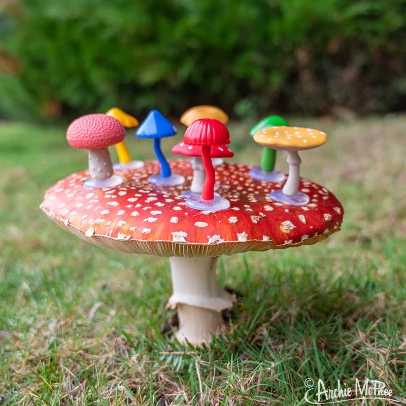 Collection of Mini Mushrooms - Image 3