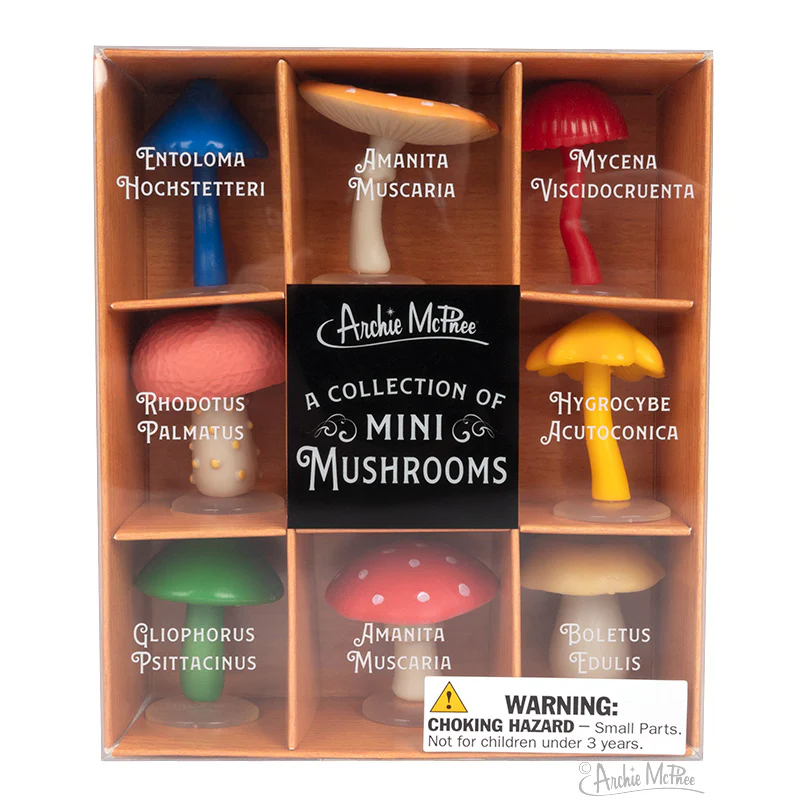 Collection of Mini Mushrooms - Image 4