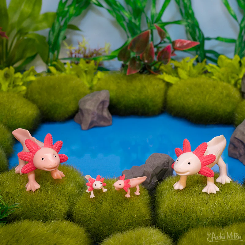 Box of Axolotls - Family of 4 - Image 2