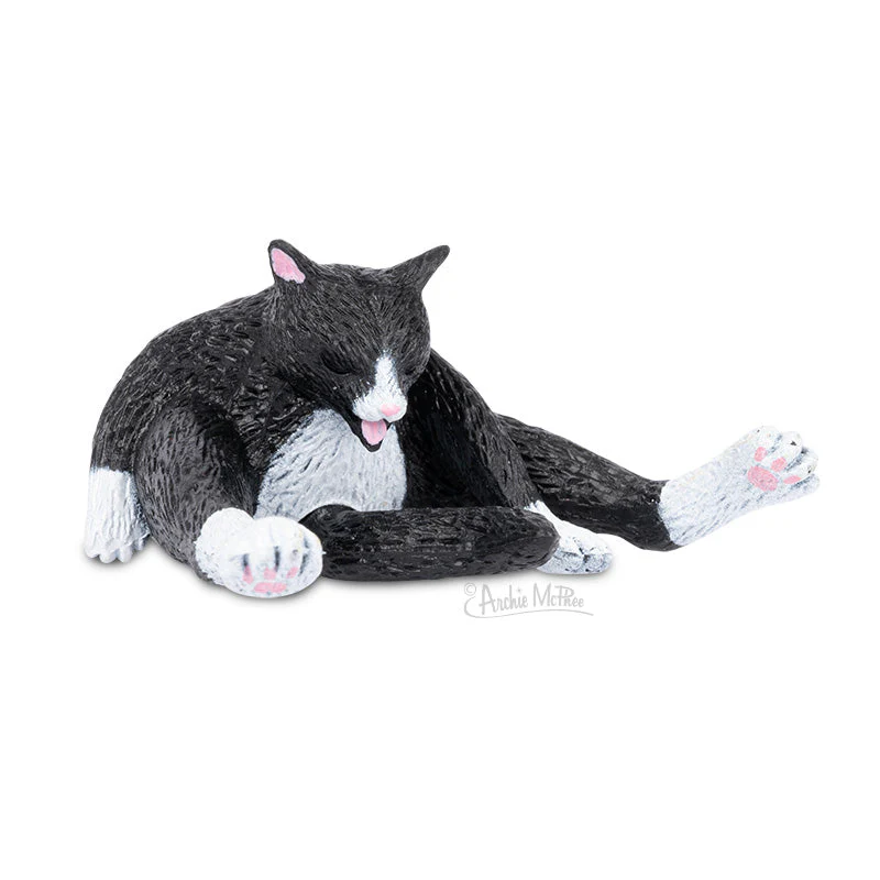 Cleaning Kitties - Image 4