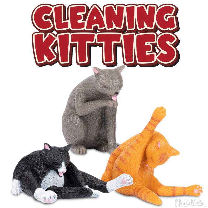 Cleaning Kitties Bulk Box - Image 2