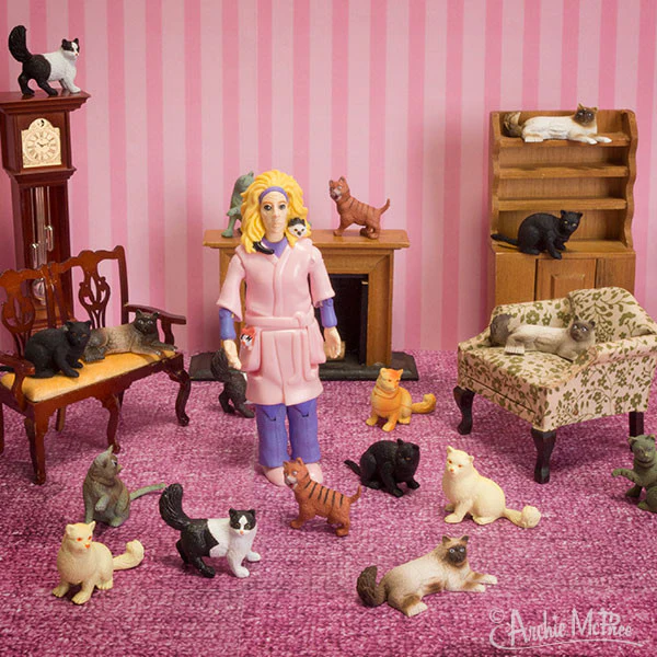 Crazy Cat Lady® Action Figure - Image 3