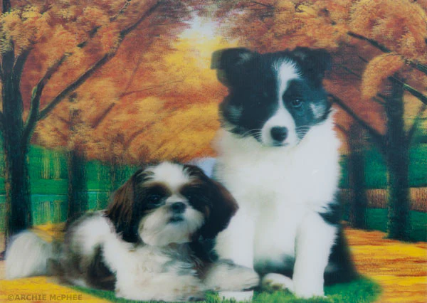 Cute and Cuddly Lenticular Card Set - Image 7