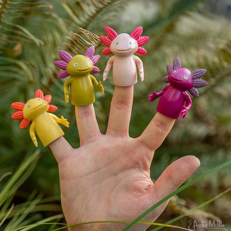 Finger Axolotls Bulk Box - Image 3