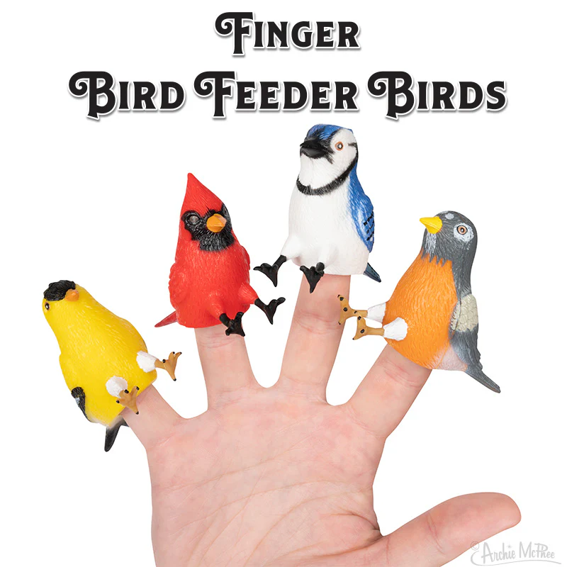 Finger Bird Feeder Birds Bulk Box - Image 2