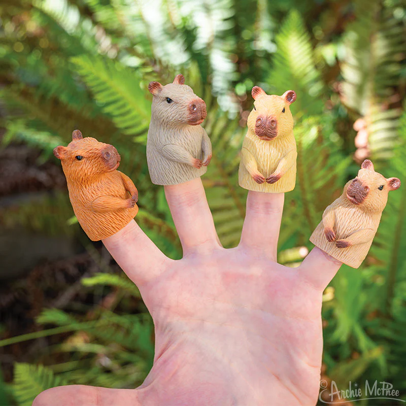 Finger Capybaras - Bulk Box - Image 3