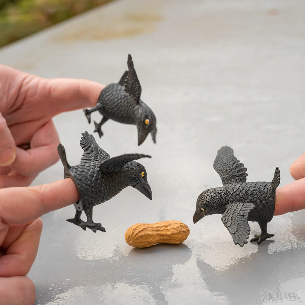 Finger Crows - Bulk Box - Image 3