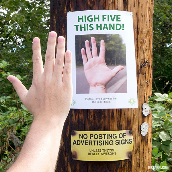 High Five This Sign - Obvious Plant Book - Image 3