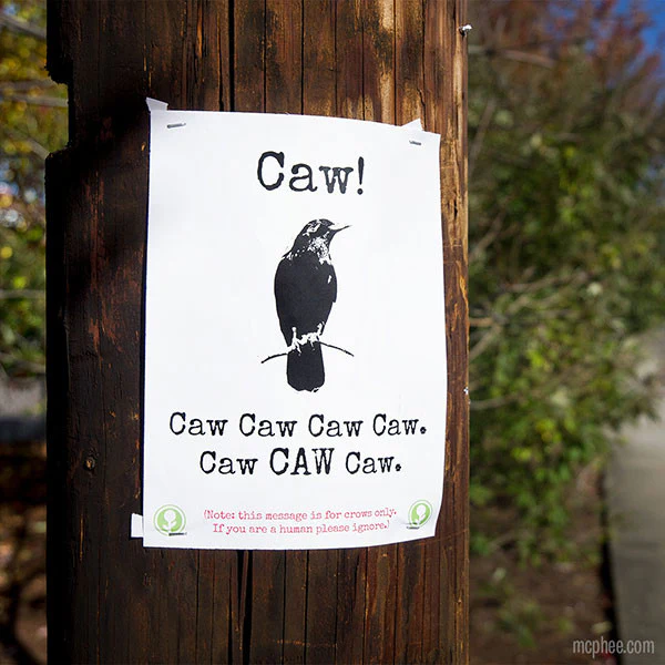 High Five This Sign - Obvious Plant Book - Image 4
