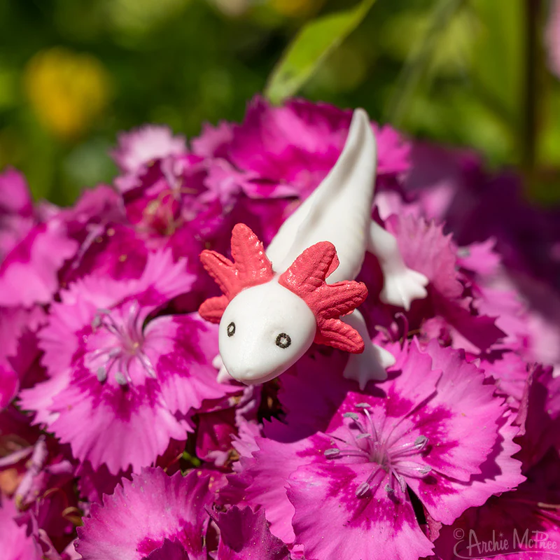 Itty Bitty Axolotls - Bag of 8 - Image 3