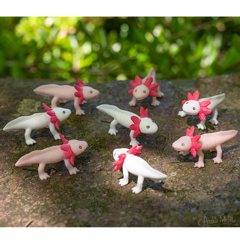 Itty Bitty Axolotls - Bag of 8 - Image 4