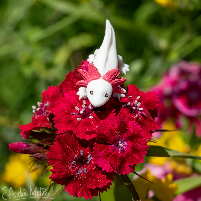 Itty Bitty Axolotls - Bag of 8 - Image 6