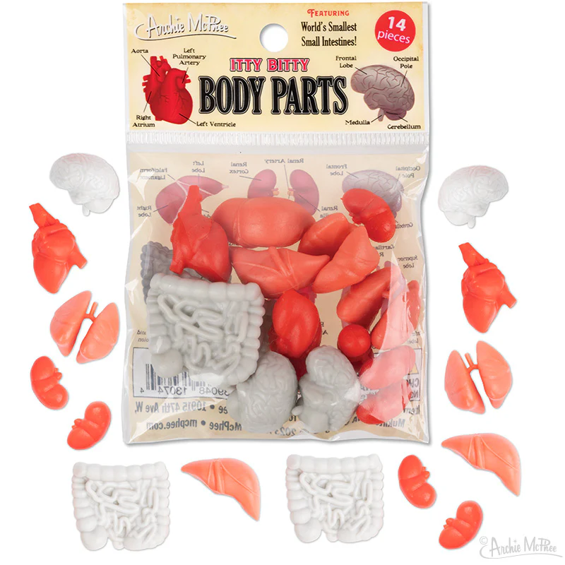 Itty Bitty Body Parts - Bag of 14