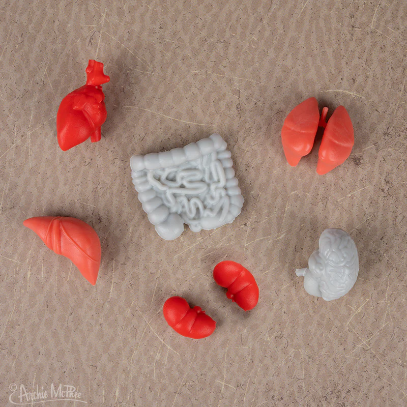 Itty Bitty Body Parts - Bag of 14 - Image 2