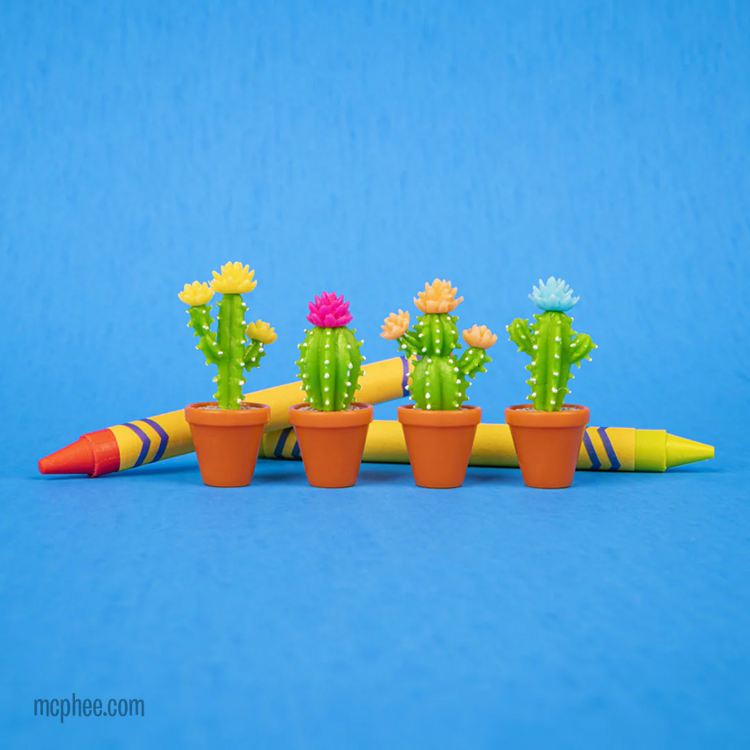 Itty Bitty Cactus - Bag of 8 - Image 3