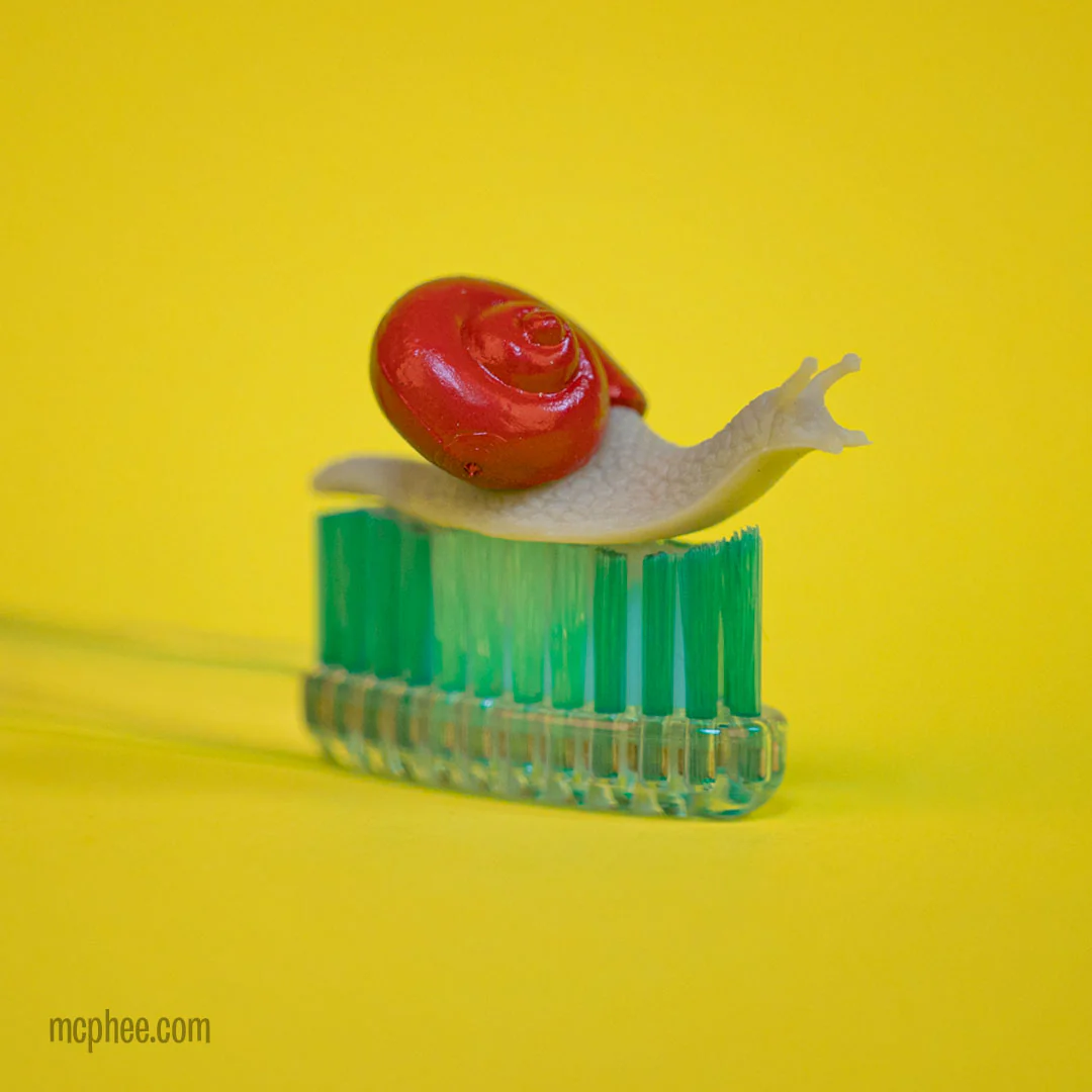 Itty Bitty Snails - Bag of 9 - Image 3