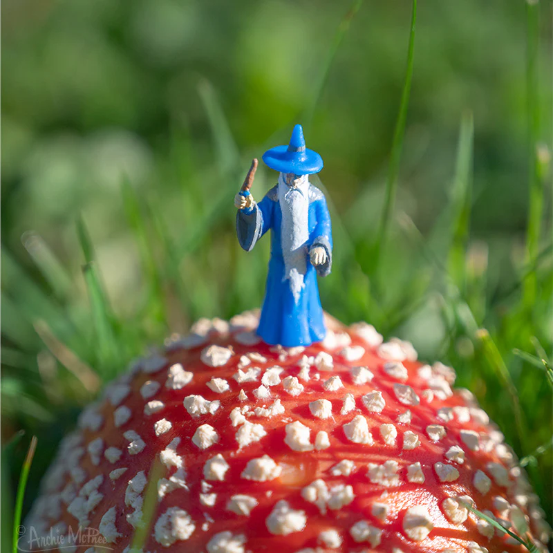 Itty Bitty Wizards - Bag of 9 - Image 6