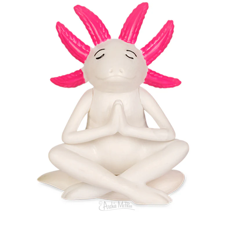 Meditating Axolotls - Image 3