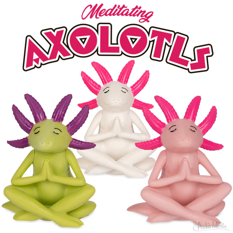 Meditating Axolotls Bulk Box - Image 2