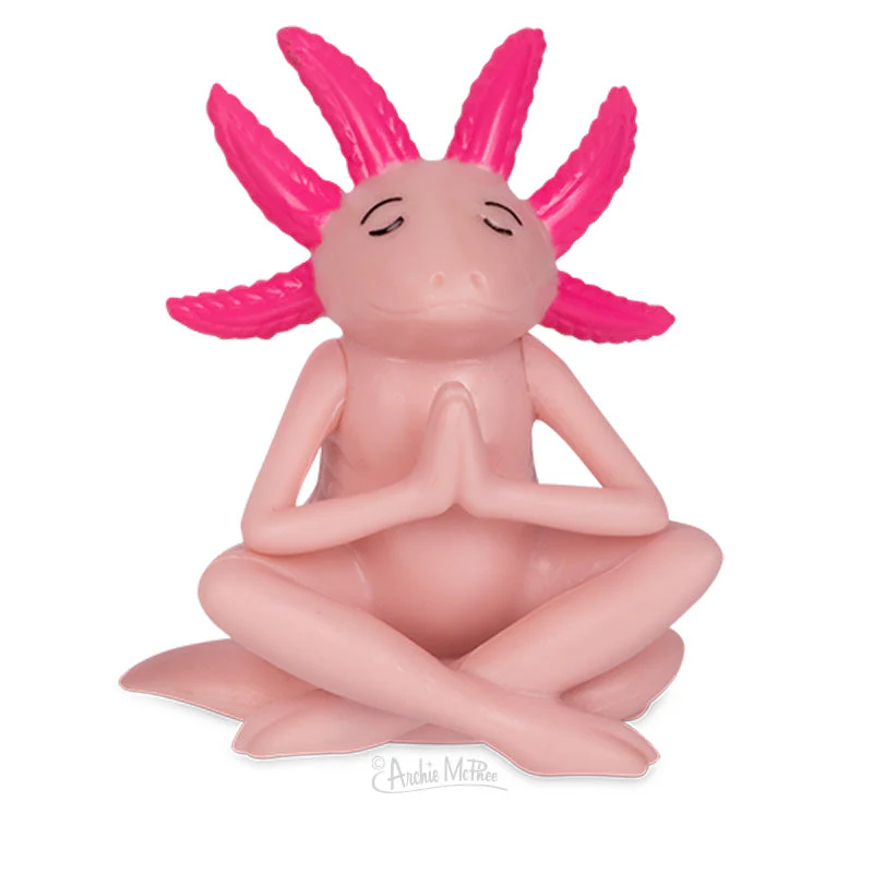 Meditating Axolotls Bulk Box - Image 3