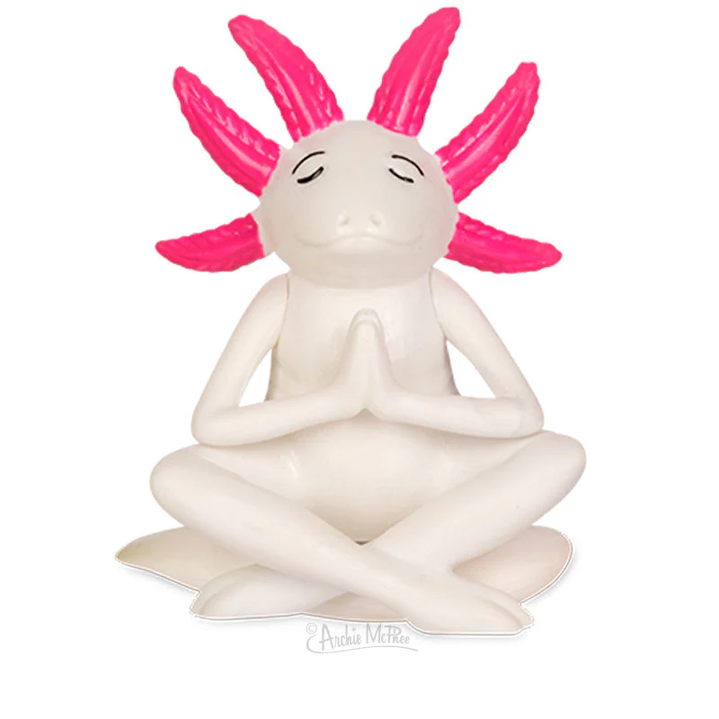 Meditating Axolotls Bulk Box - Image 4