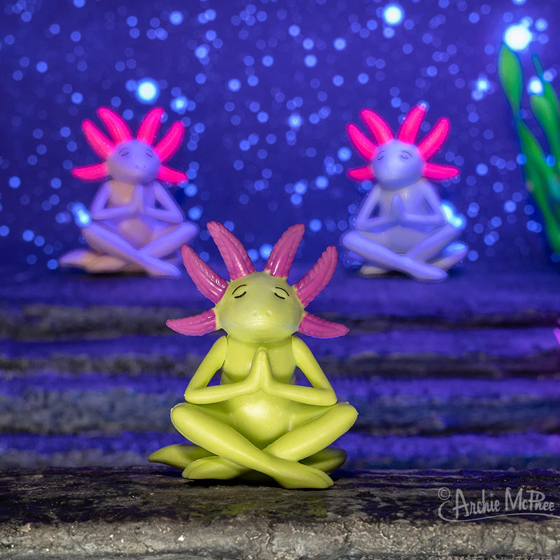 Meditating Axolotls Bulk Box - Image 6
