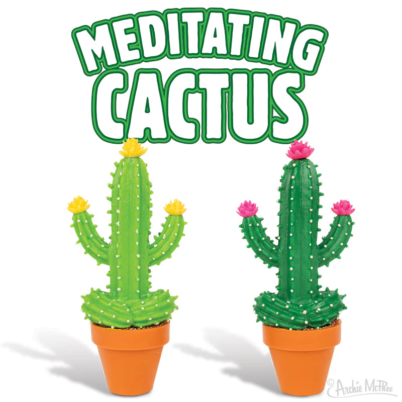 Meditating Cactus