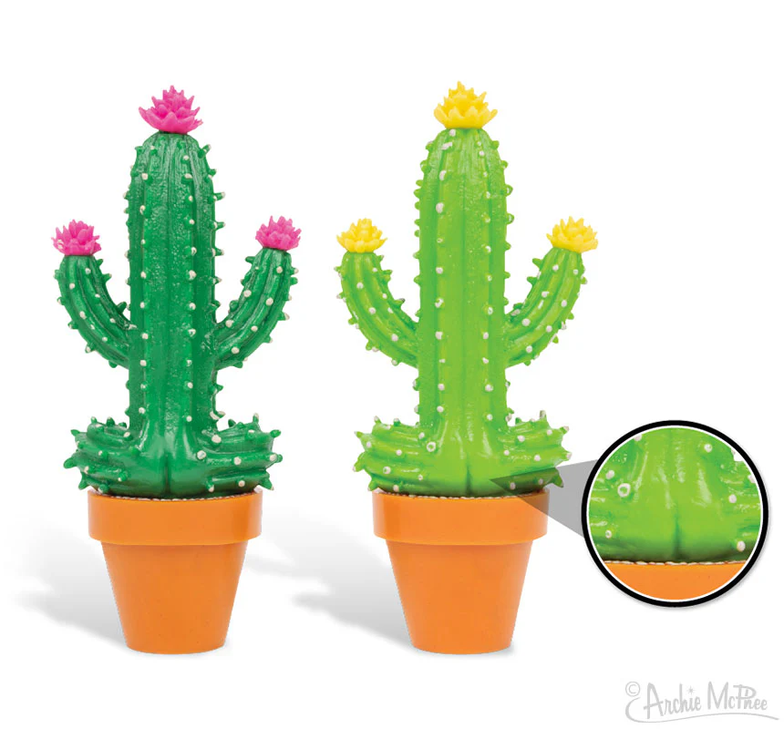 Meditating Cactus - Image 2