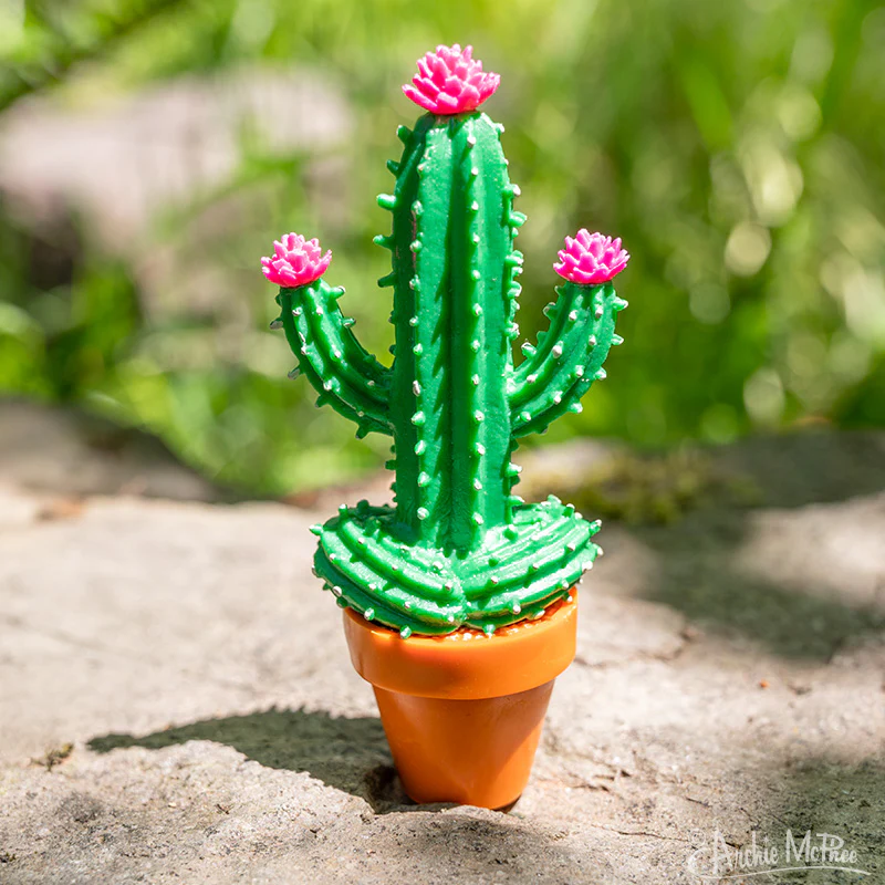Meditating Cactus - Image 3