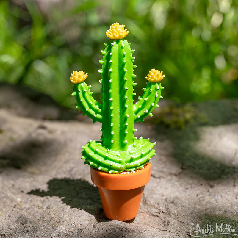 Meditating Cactus - Image 4