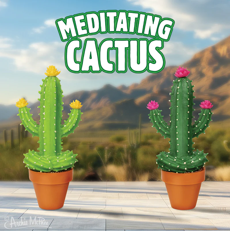 Meditating Cactus - Image 5