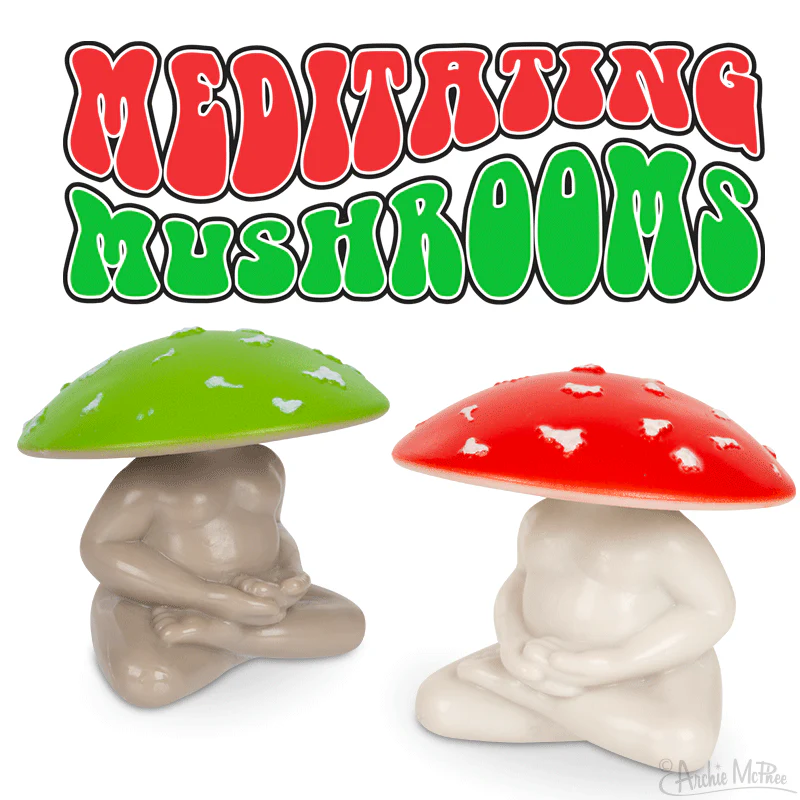 Meditating Mushrooms - Bulk Box - Image 2