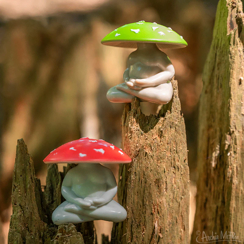Meditating Mushrooms - Bulk Box - Image 3