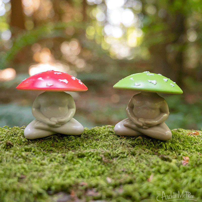 Meditating Mushrooms - Bulk Box - Image 4