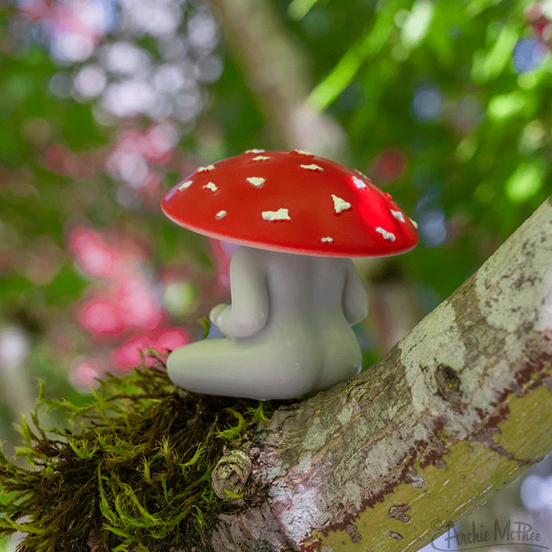 Meditating Mushrooms - Bulk Box - Image 5
