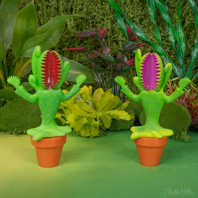 Meditating Venus Flytrap - Image 4