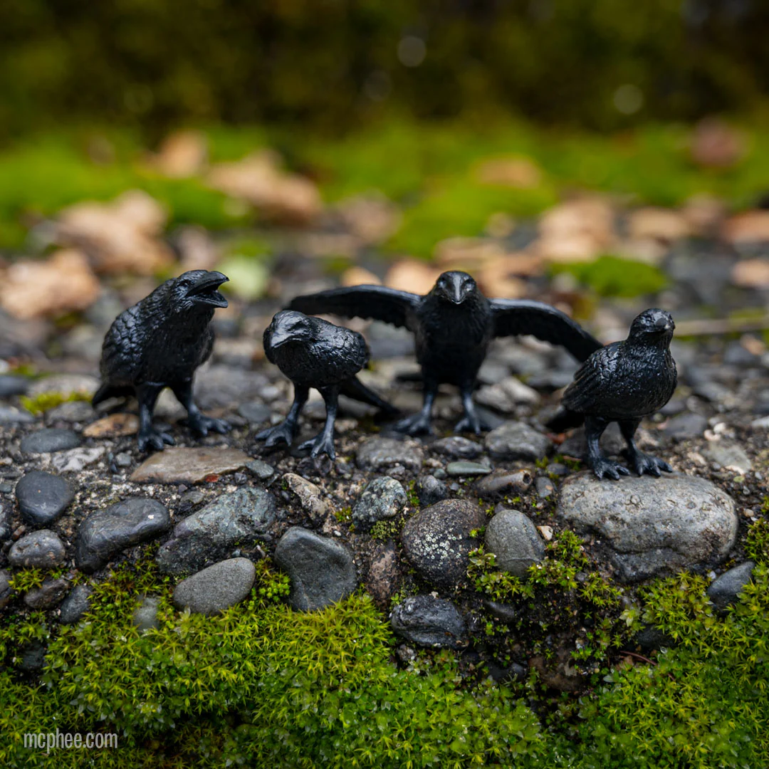 Murder of Crows - Tiny Crows - Image 4