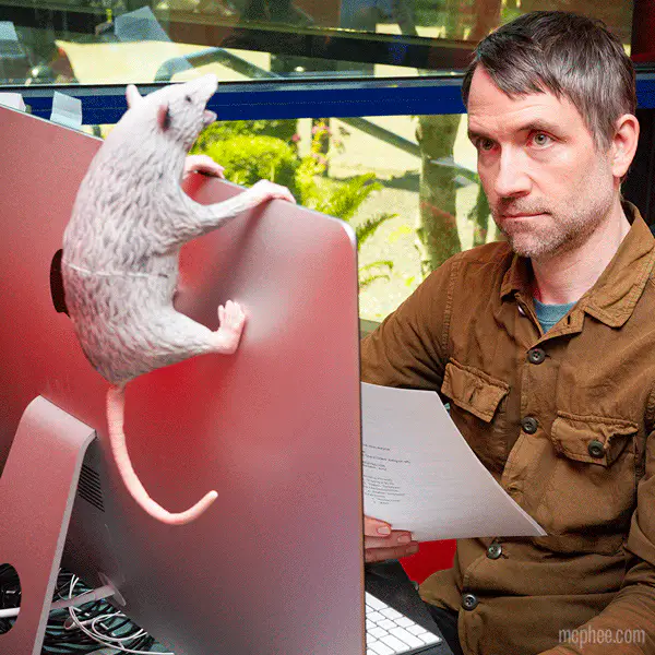 Office Possum - Image 5