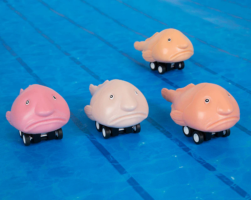 Racing Blobfish Bulk Box - Image 3