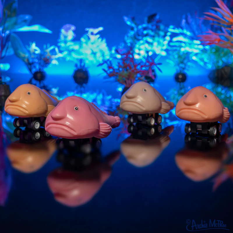Racing Blobfish - Set of 4 - Image 3