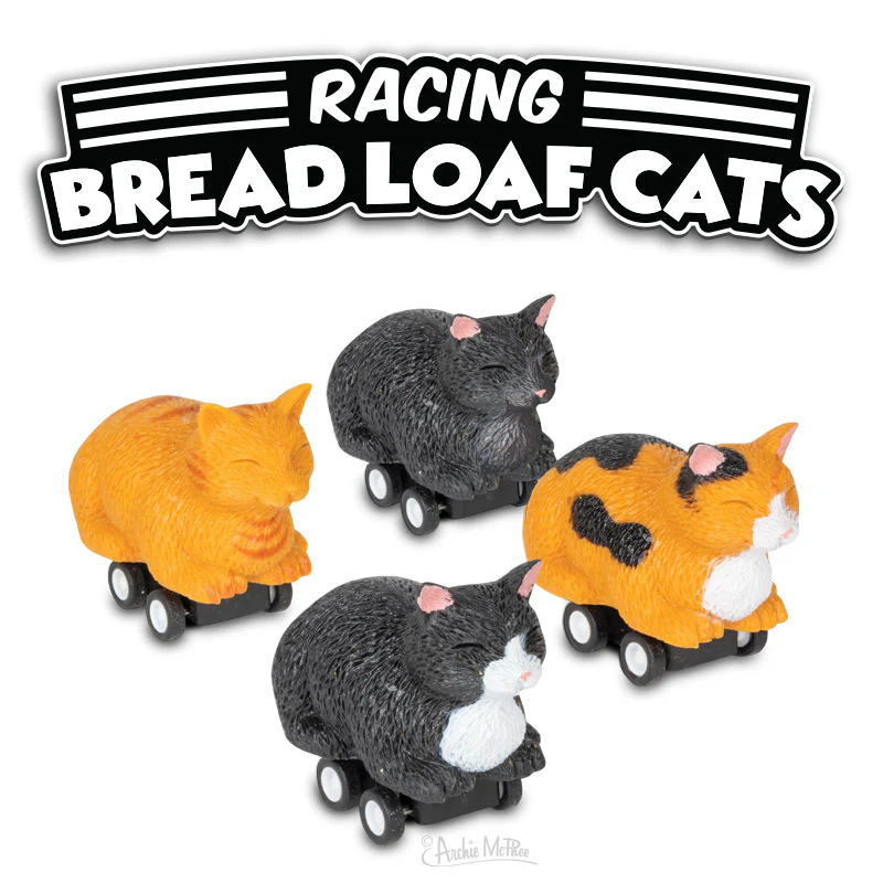 Racing Bread Loaf Cats Bulk Box - Image 2