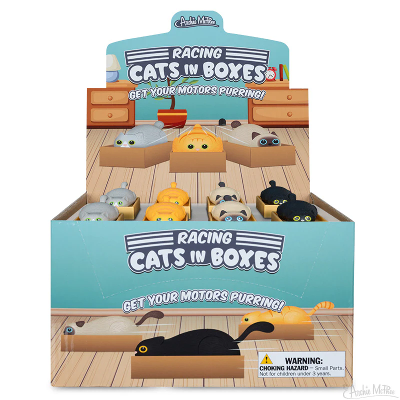 Racing Cats in Boxes Bulk Box