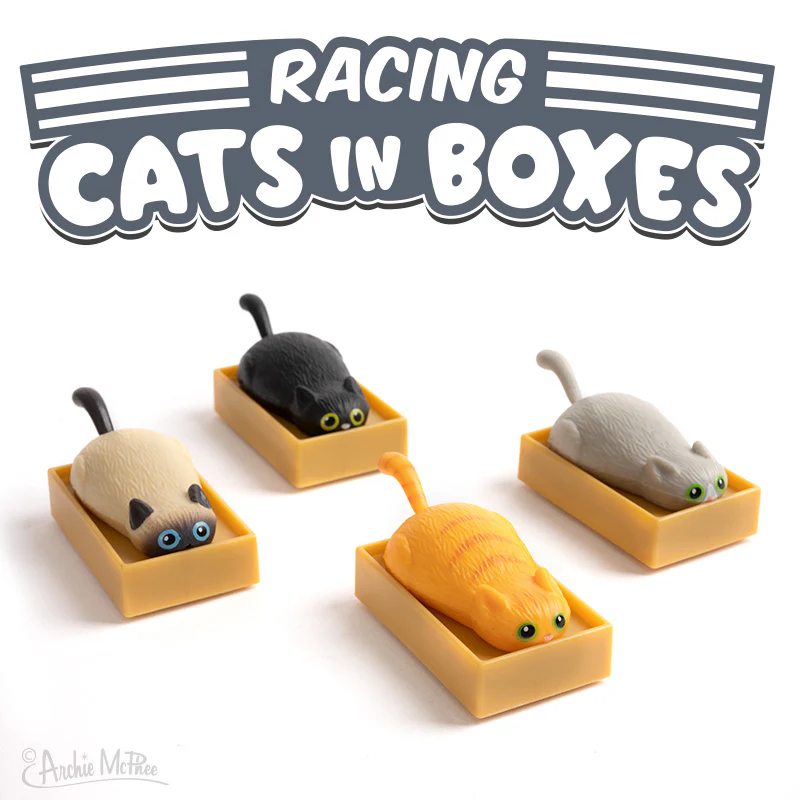 Racing Cats in Boxes Bulk Box - Image 2
