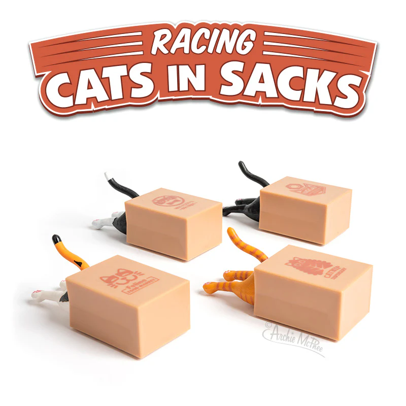 Racing Cats in Sacks Bulk Box - Image 2