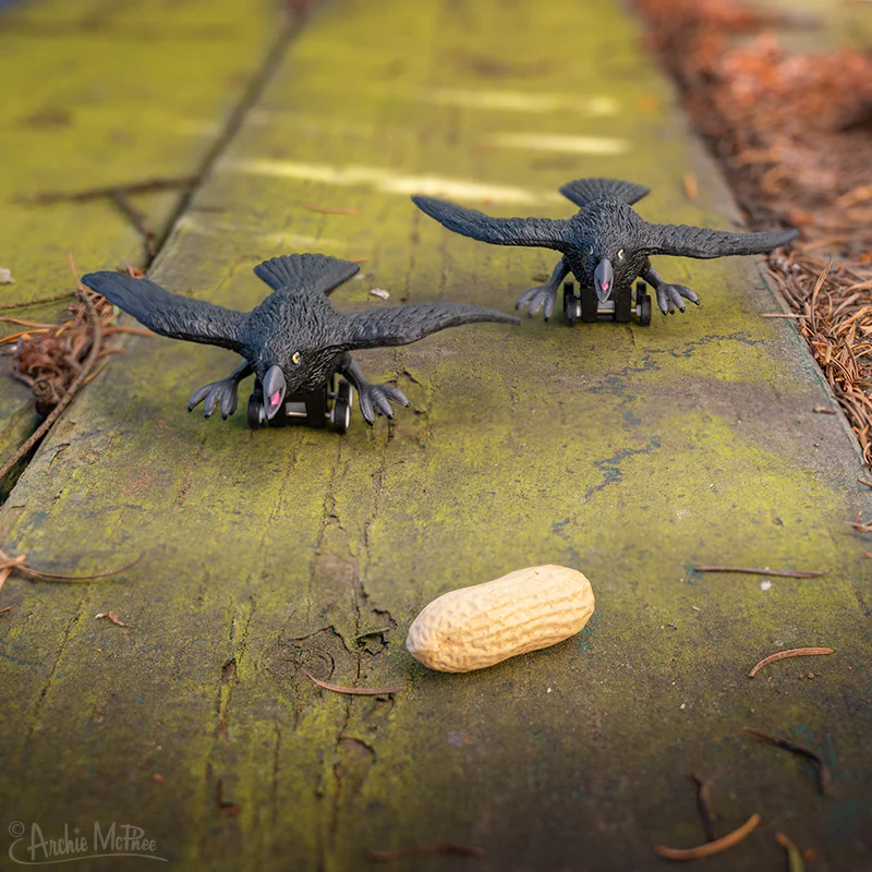 Racing Crows Bulk Box - Image 3