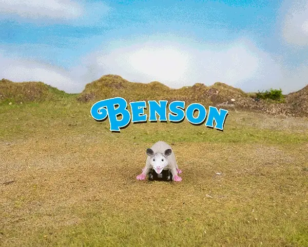 Racing Possums - Set of 3 - Image 2