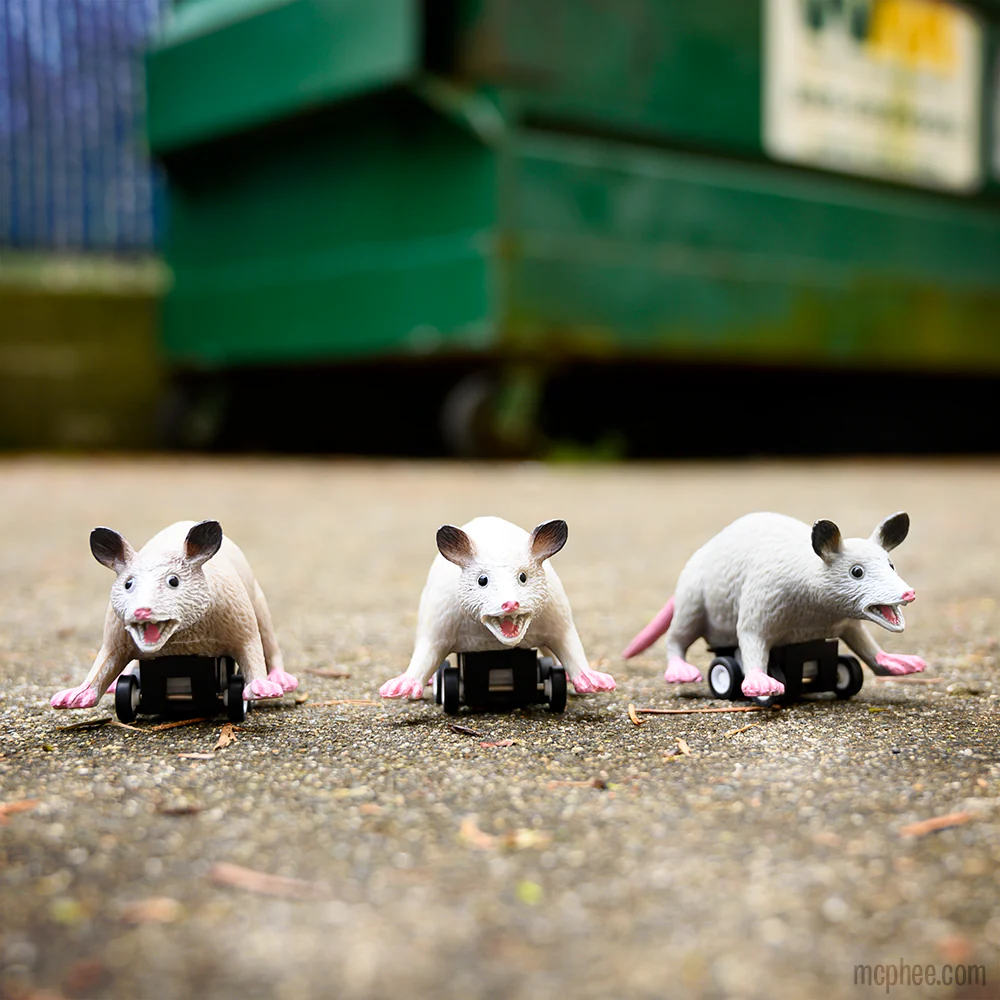 Racing Possums - Set of 3 - Image 4