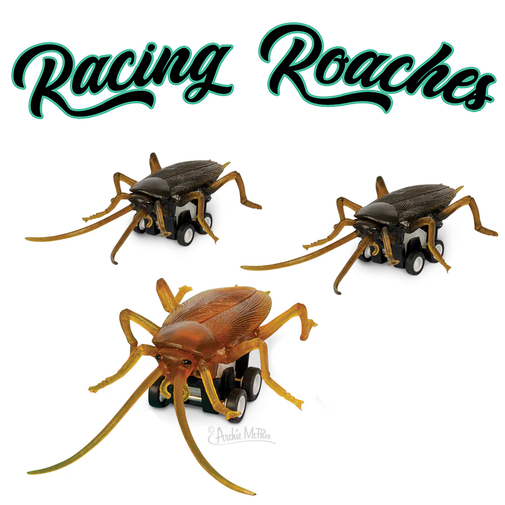 Racing Roaches - Bulk Box - Image 4