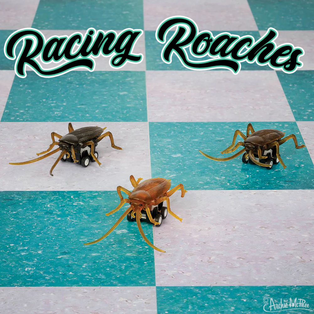 Racing Roaches - Set of 3 - Image 4