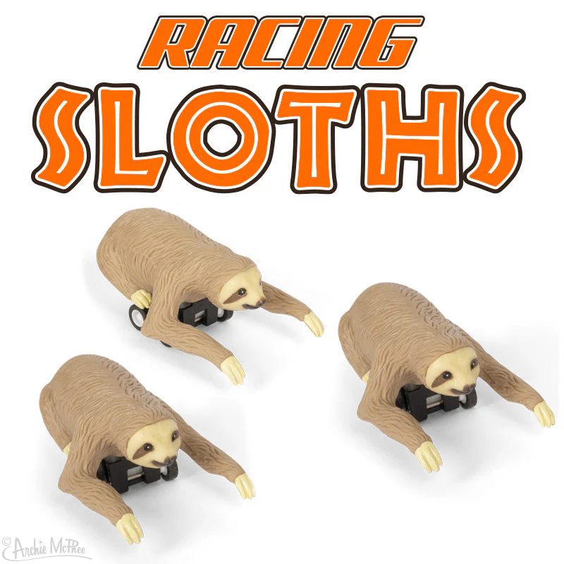 Racing Sloths Bulk Box - Image 2